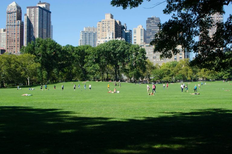 People relaxing and walking across a green Central Park lawn beneath leafy trees and a blue sky