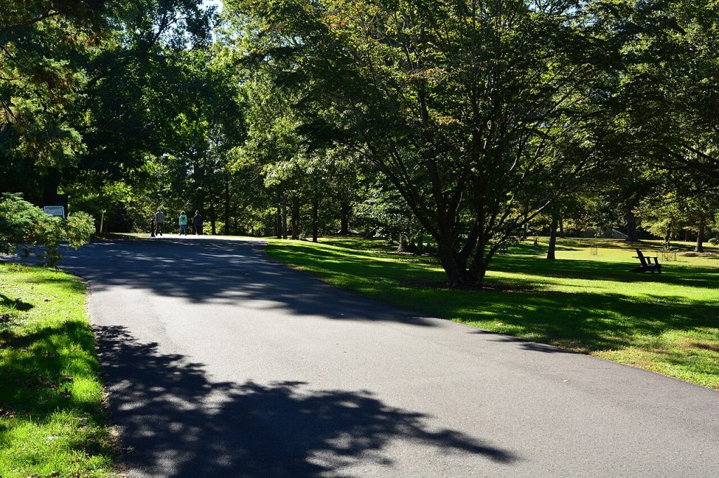 A paved path beneath large oak trees at Bayard Cutting Arboretum in Great River