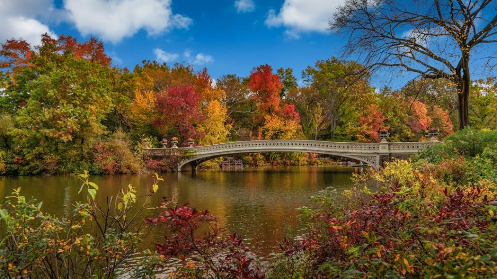 10 Fall Outings in and Around NYC That Feel Like a Mini Escape
