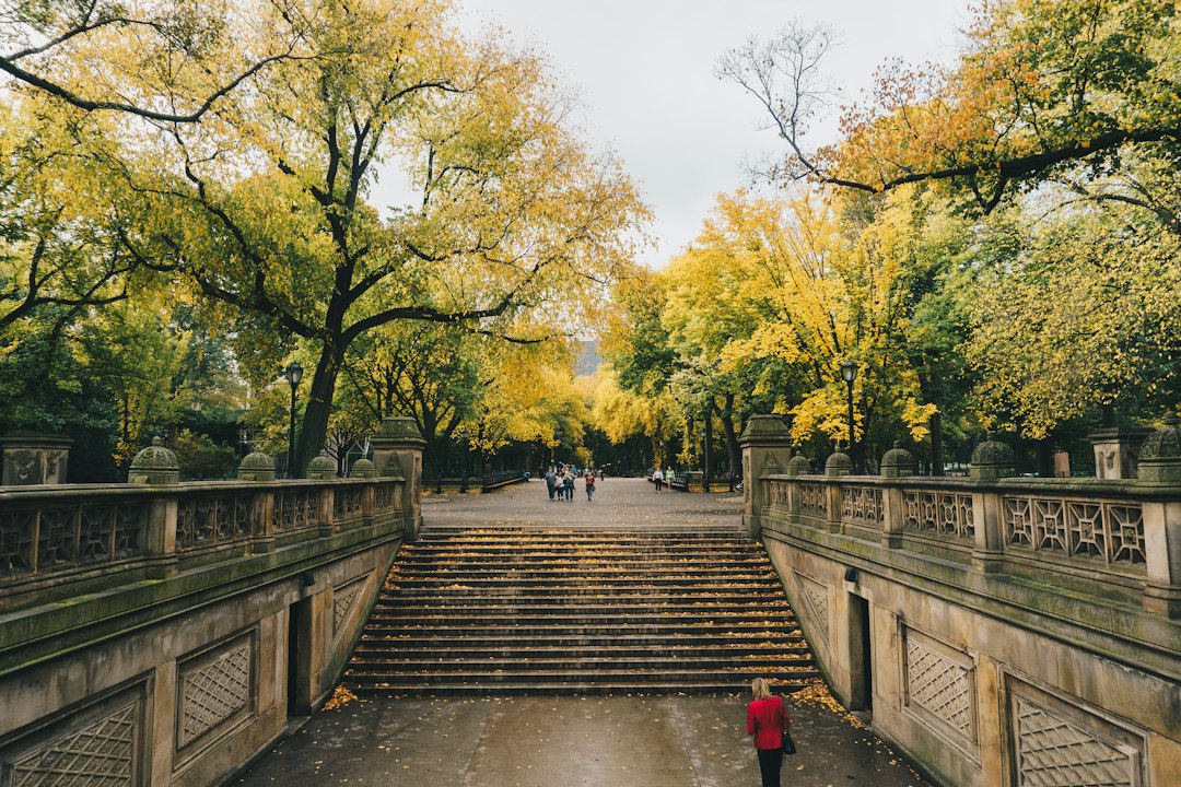 Visitors near Bethesda Terrace and the tree-lined Mall in Central Park during autumn