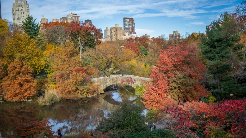 Gapstow Bridge in Central Park framed by colorful autumn trees with the Manhattan skyline behind it