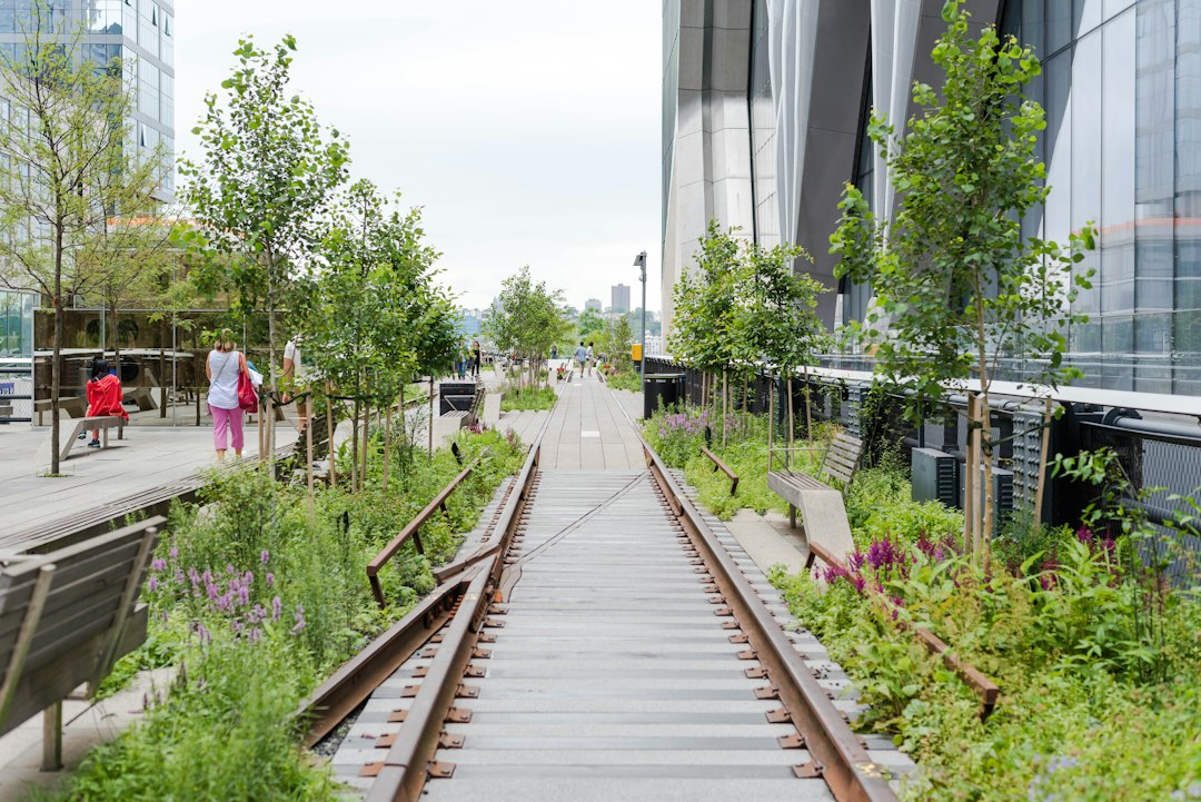 People walking on the High Line among trees and city buildings
