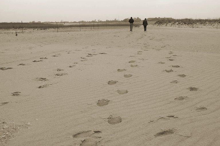 Footprints and walkers on the sand at Jones Beach State Park