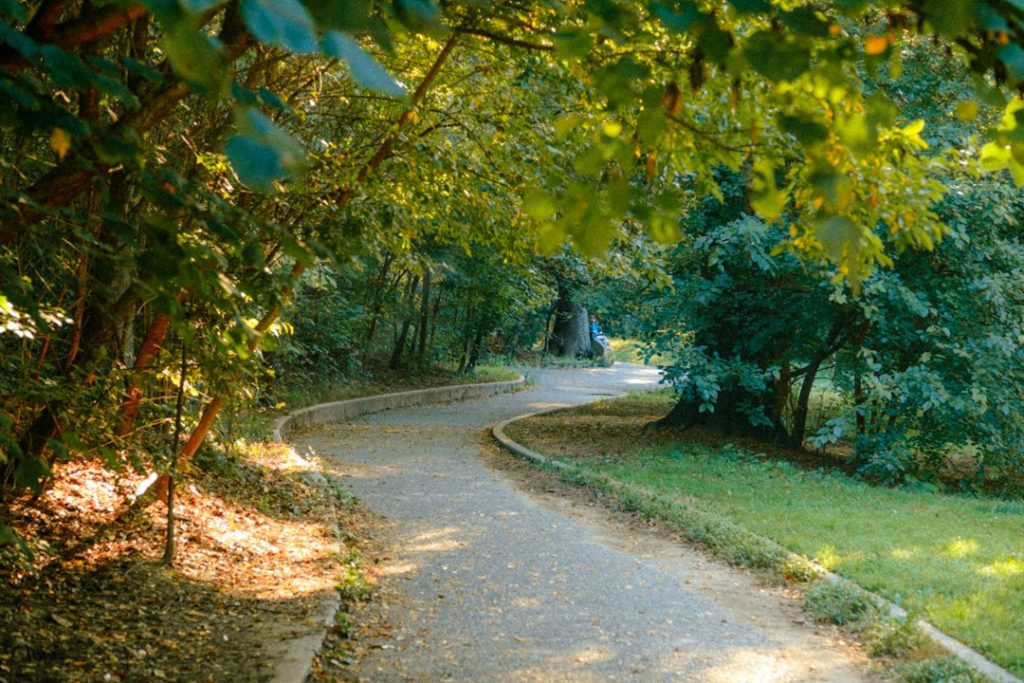 A winding path surrounded by autumn foliage in Prospect Park