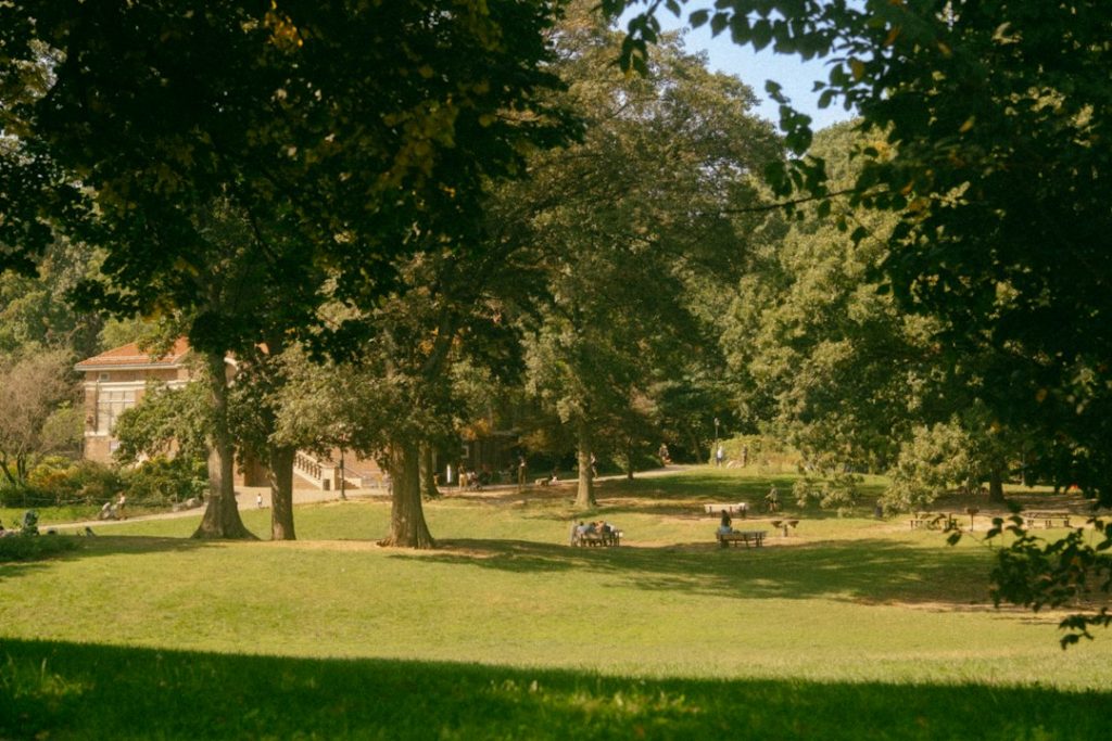 Visitors resting on grass beneath large trees in Prospect Park