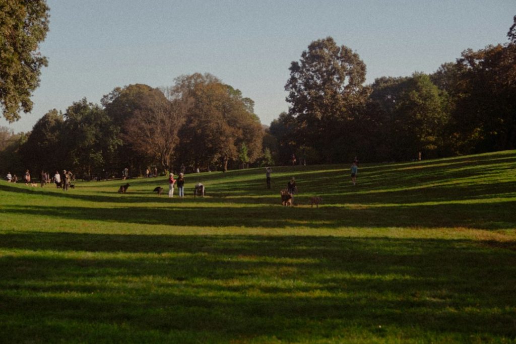 People sitting on an open meadow in Prospect Park