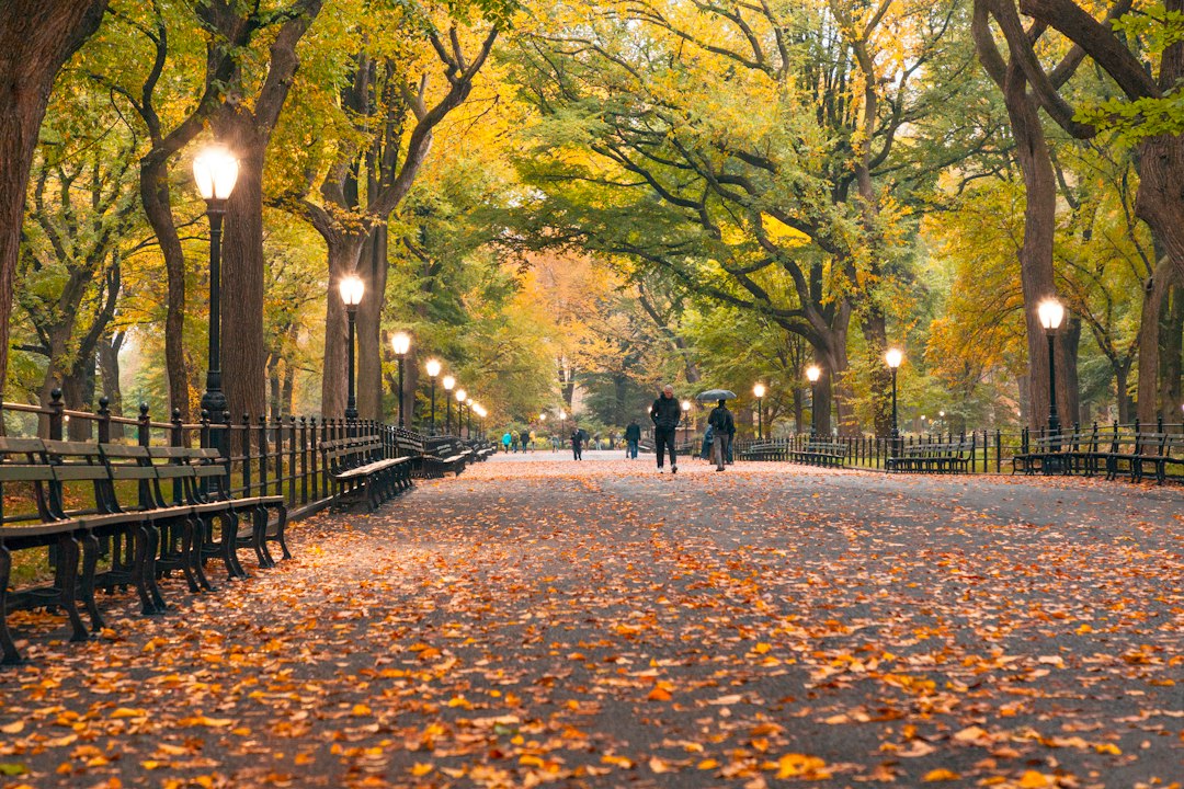 Autumn foliage and a path in Central Park, New York City