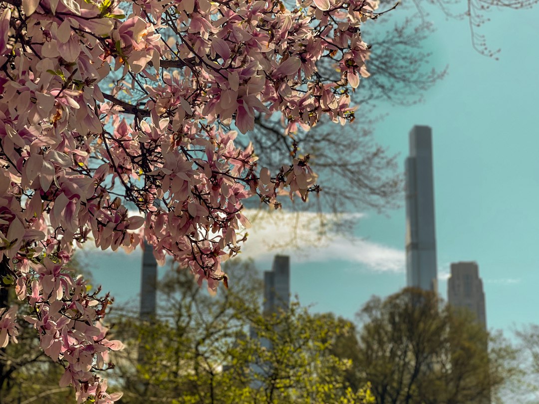 Seasonal reference photograph for a New York spring outing