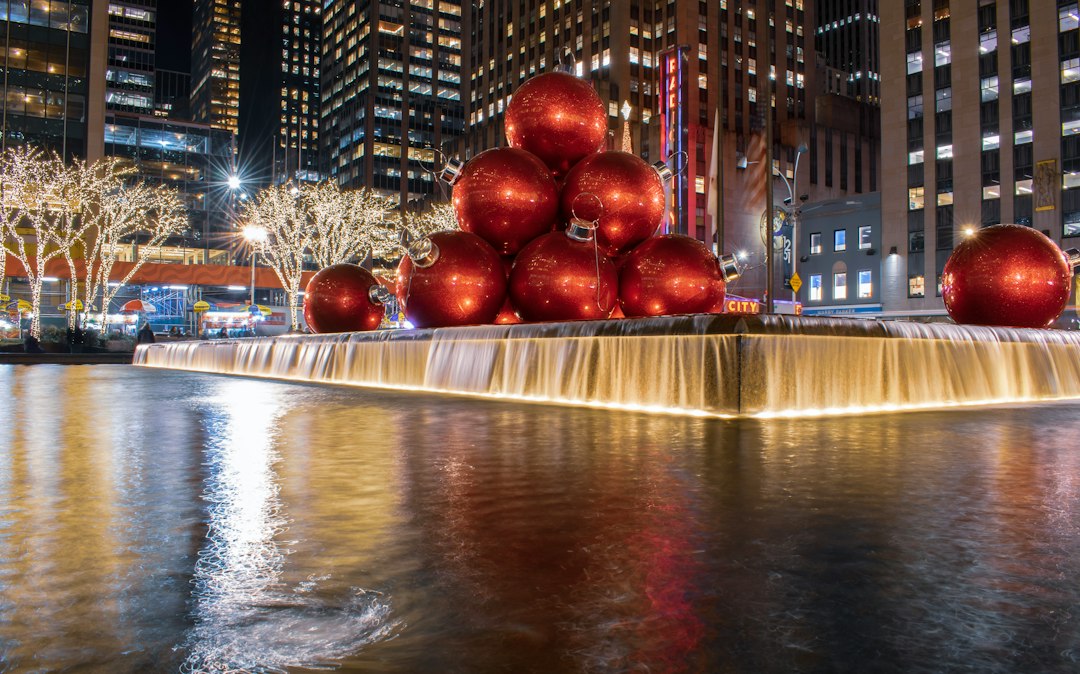Seasonal reference photograph for a New York winter outing