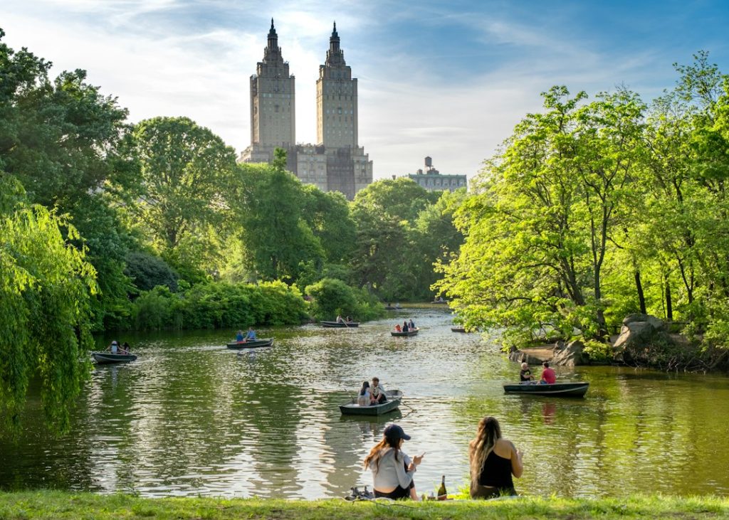 Rowboats on the Lake in Central Park