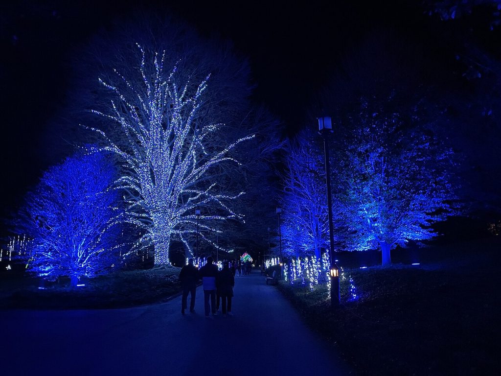 Blue Christmas lights beside a walkway at Longwood Gardens