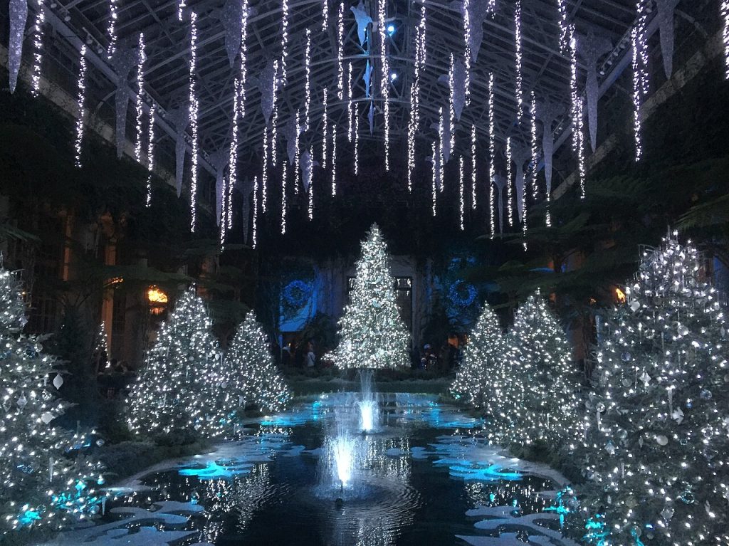 Illuminated holiday trees inside a Longwood Gardens conservatory
