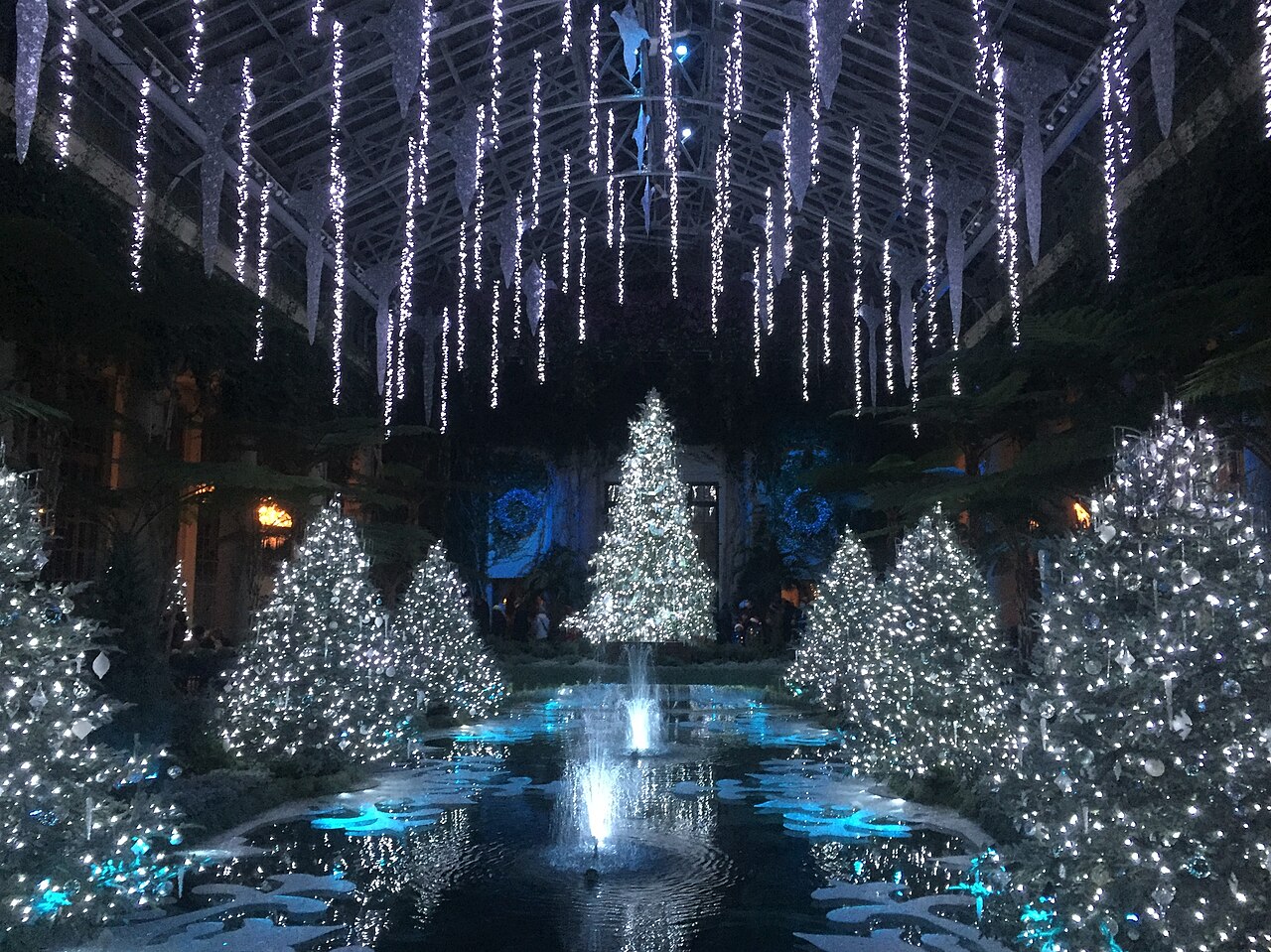 Illuminated holiday trees inside a Longwood Gardens conservatory