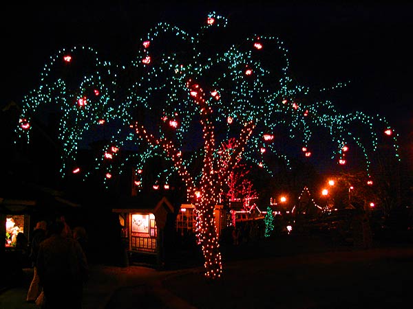 Trees decorated with Christmas lights at Peddler’s Village