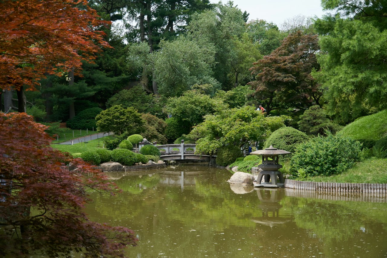Pond, stone lantern and bridge in Brooklyn Botanic Garden’s Japanese Hill-and-Pond Garden