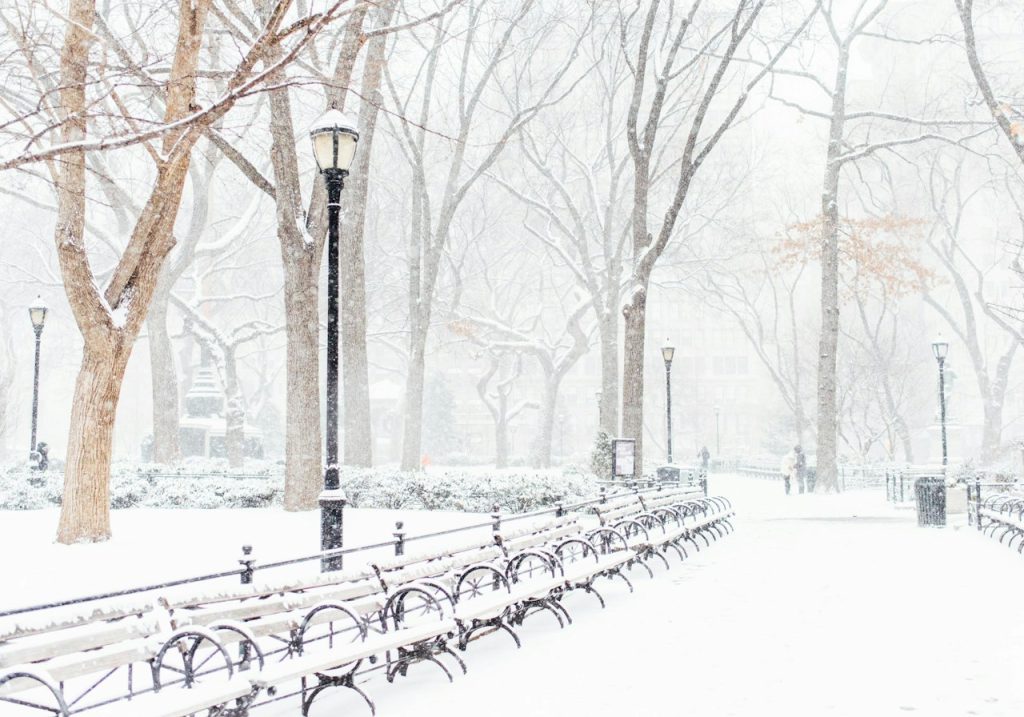 Central Park in snow