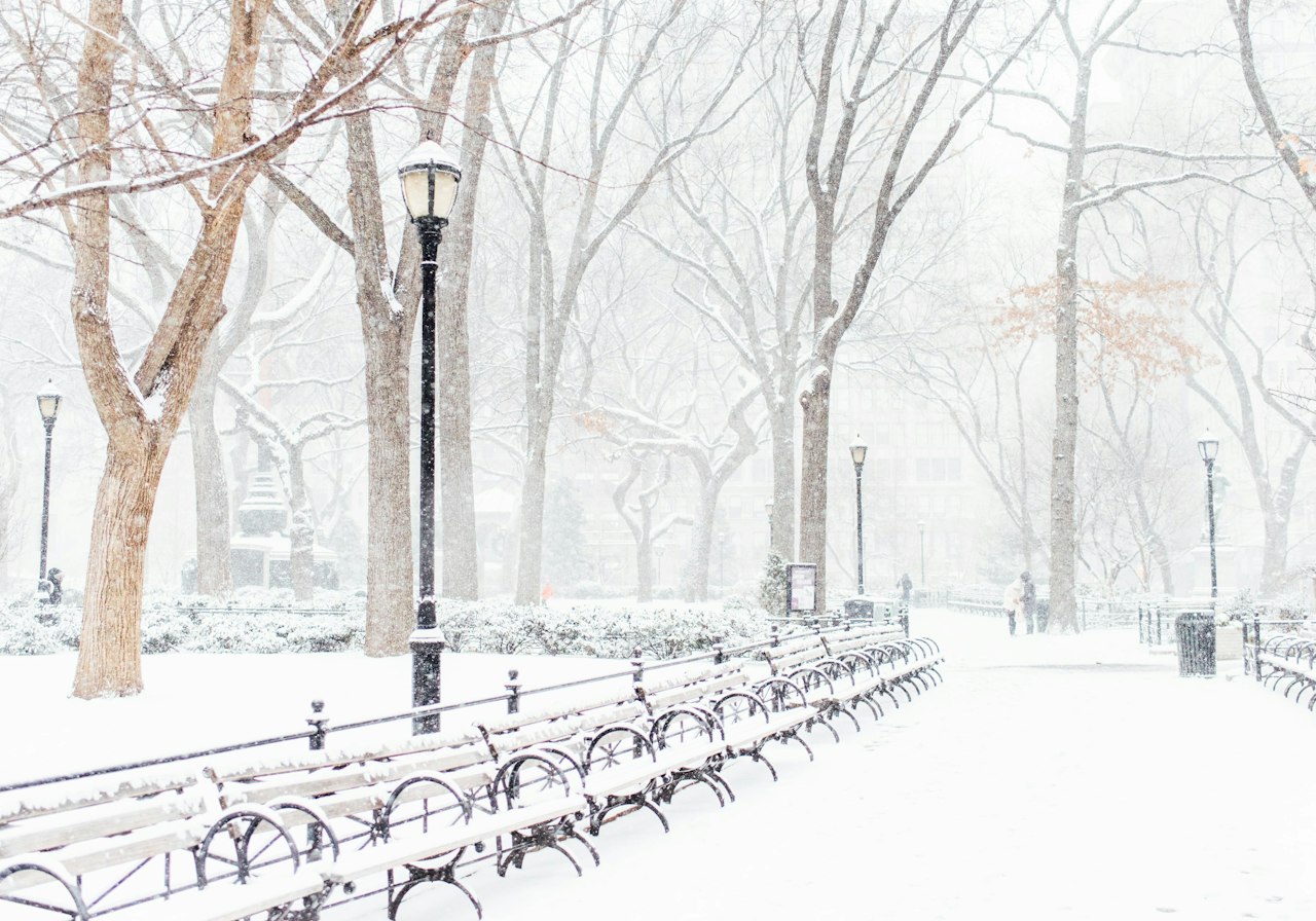 Central Park in snow