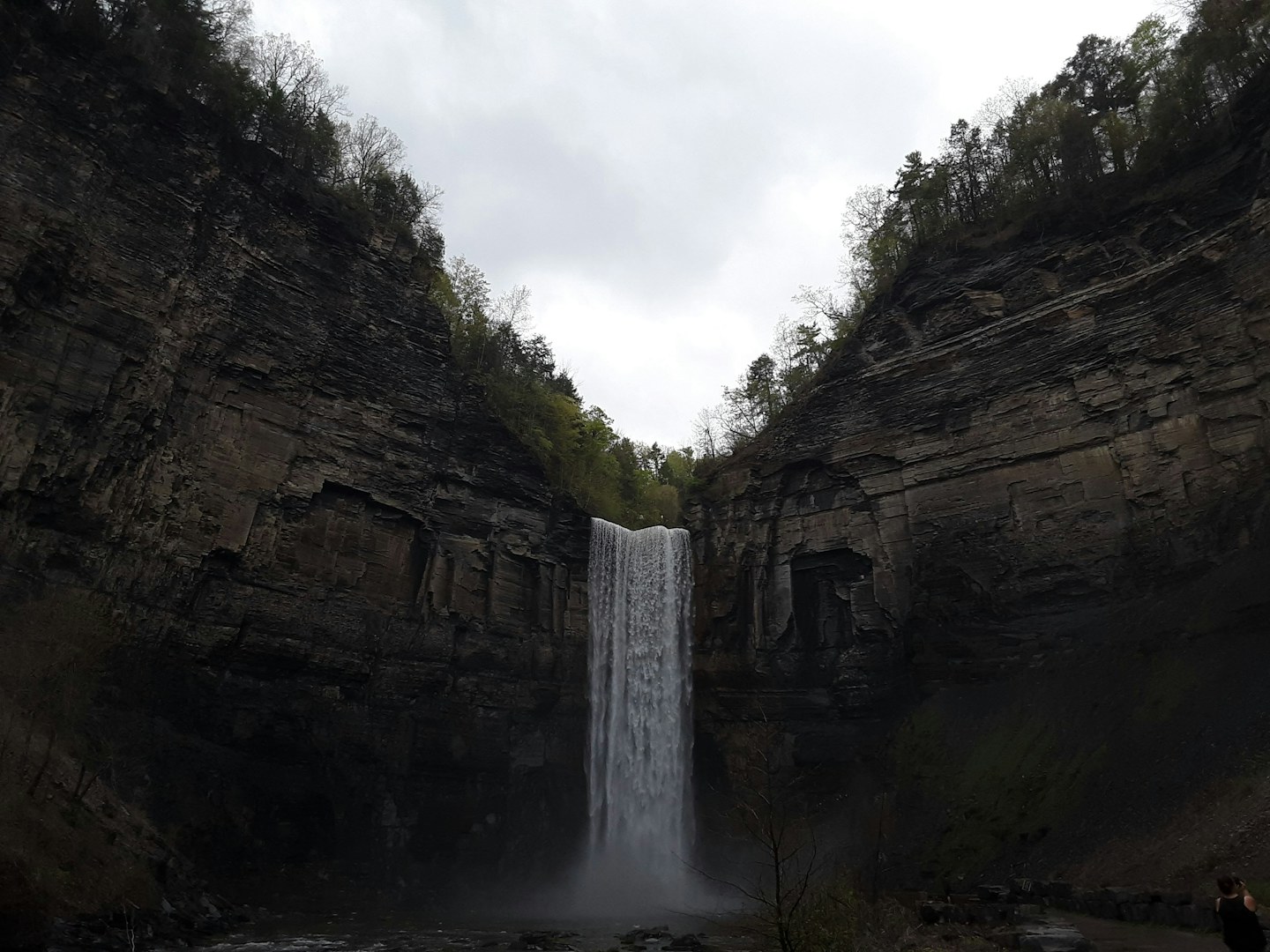 Taughannock Falls descending between the layered rock walls of its gorge