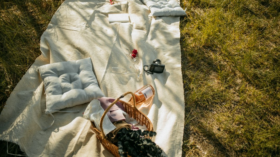 A picnic blanket, basket, and camera arranged on grass