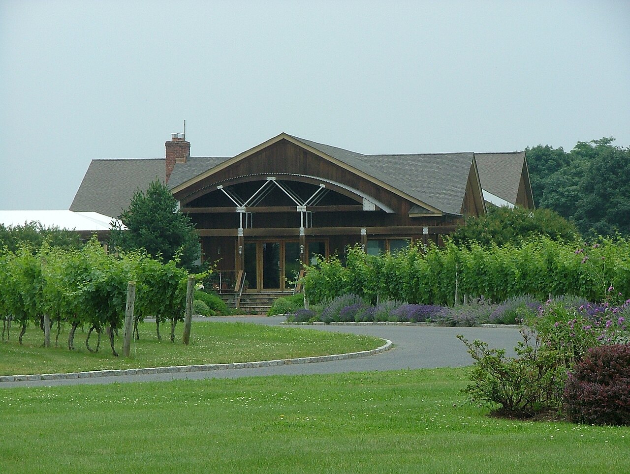 Rows of grapevines and a winery building on Long Island’s North Fork