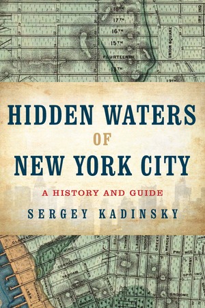 Cover of Hidden Waters of New York City by Sergey Kadinsky