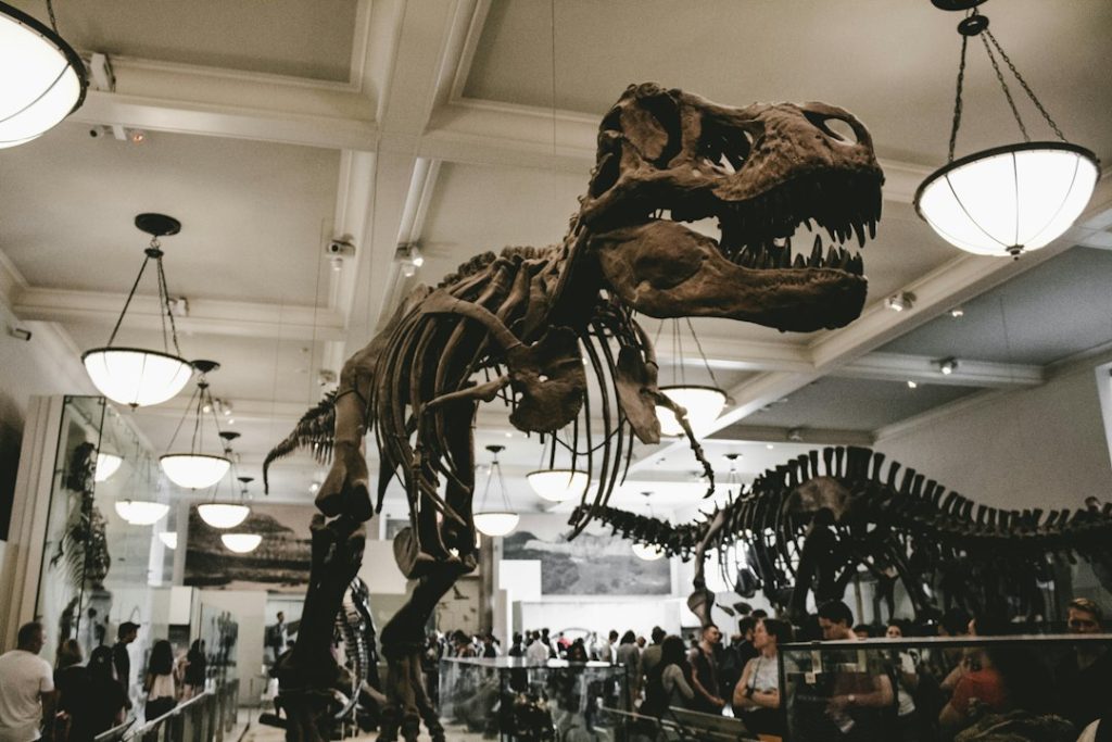 Visitors looking at dinosaur skeletons in a museum gallery