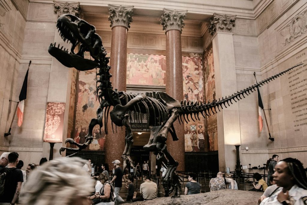 Dinosaur skeleton in a grand museum hall